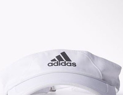 Visera