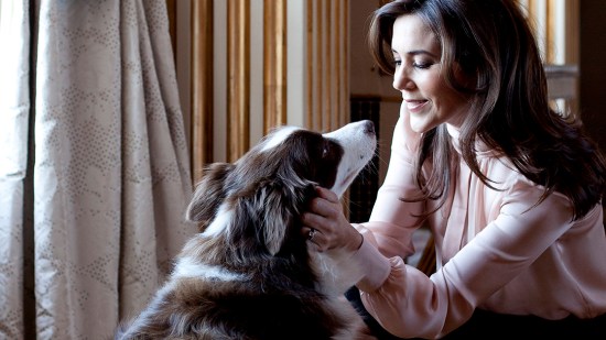 De Grace a Lupo: las mascotas royals que conquistan nuestro corazón