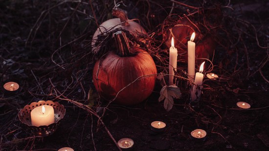 libros terror halloween