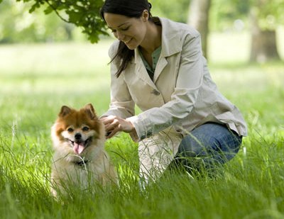 Consejos para correr con tu mascota
