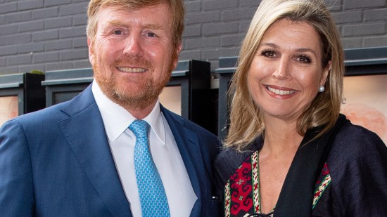Máxima de Holanda, Guillermo Alejandro