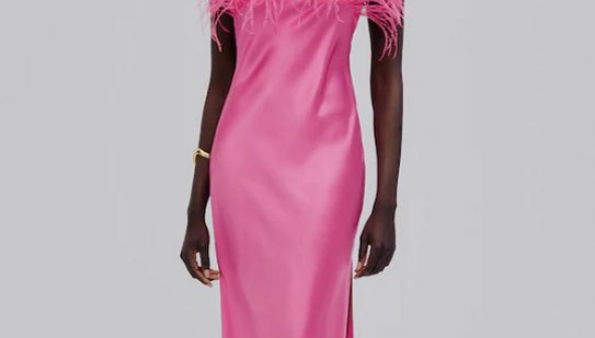 Massimo Dutti VESTIDO SEDA CON DETALLE DE PLUMAS -STUDIO