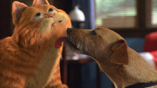 ¿Pueden convivir perros y gatos bajo el mismo techo?