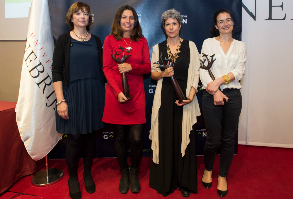 premios contra violencia género