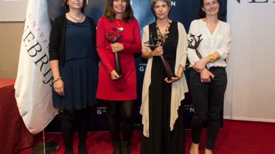 premios contra violencia género