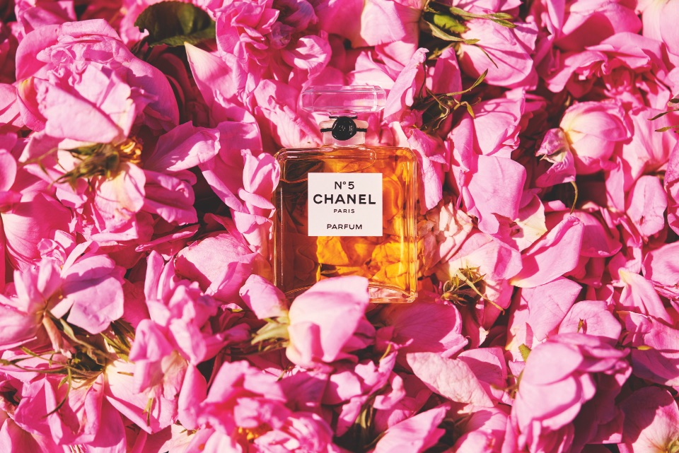 Chanel perfumes