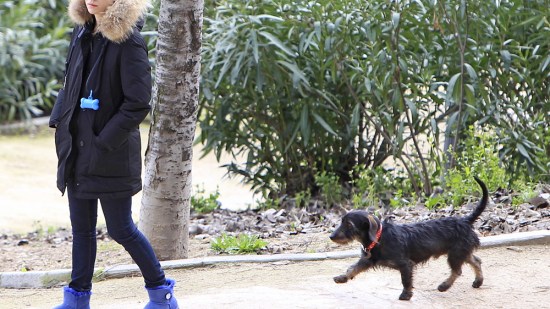 Pistacho, el perro de Blanca Suárez
