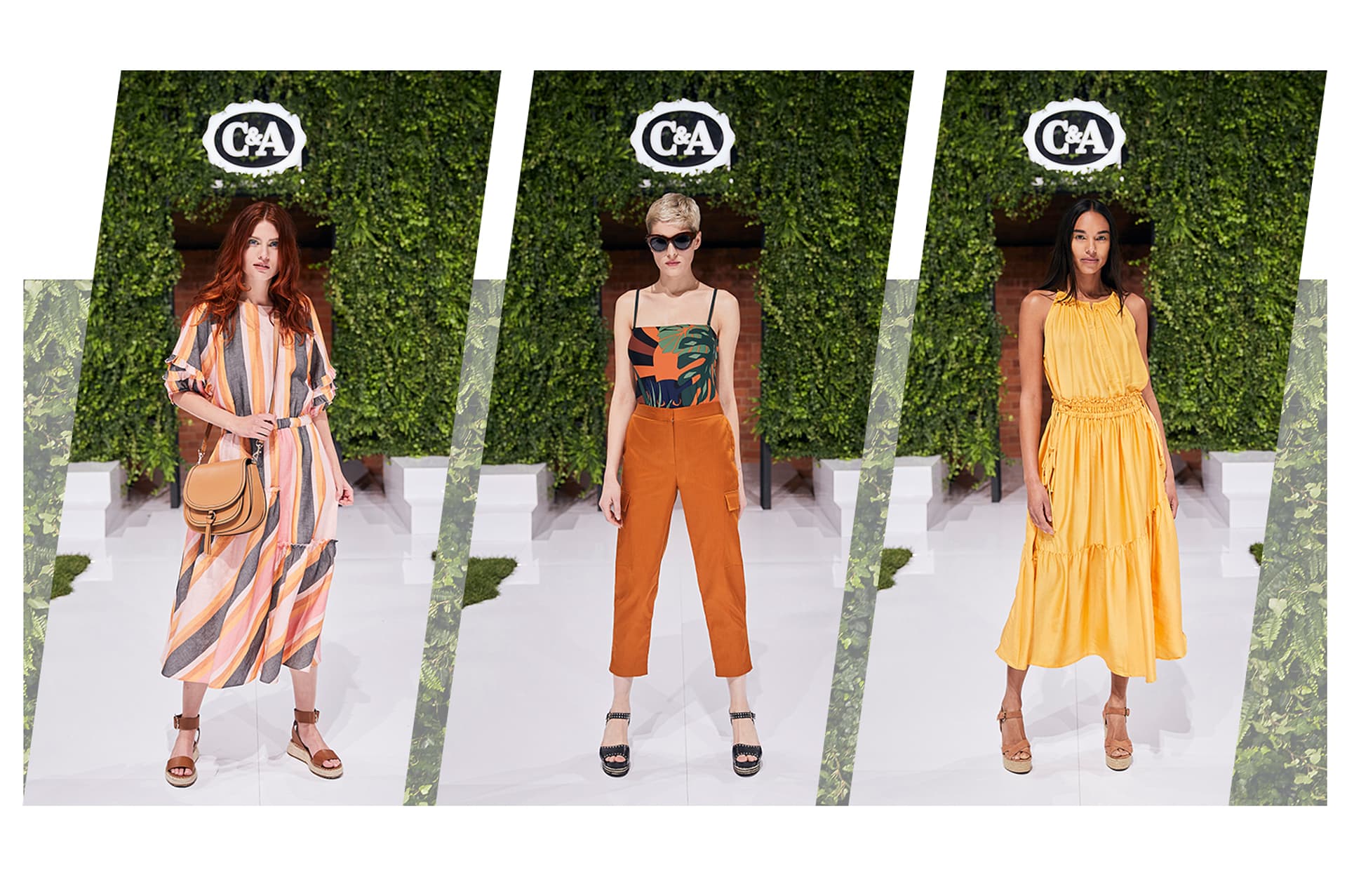 C&A
