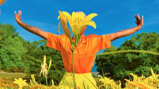 Cultivar la alegría