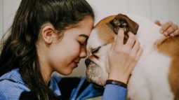 como superar duelo perro