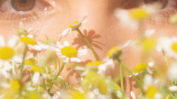 cejas perfectas