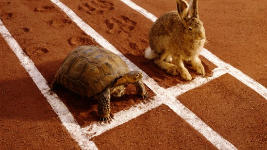 carrera entre un conejo y una tortuga.