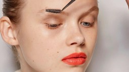 Cejas