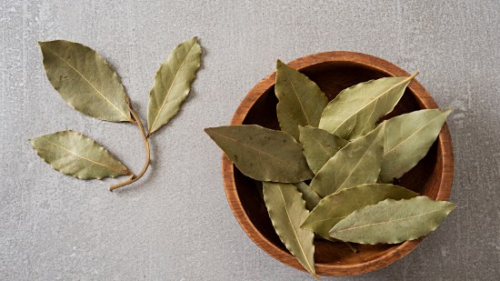hojas laurel