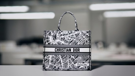 Dior Book Tote