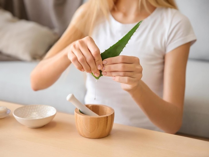 Aloe Vera - Imagen: Shutterstock