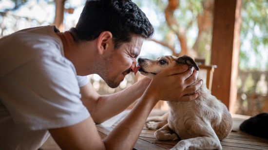Perro