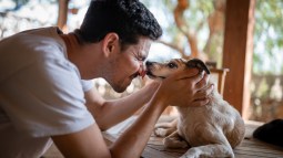 Perro