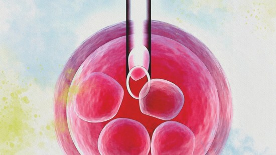 Tratamientos de fertilidad