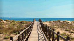 gandia