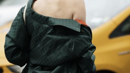 Mullet