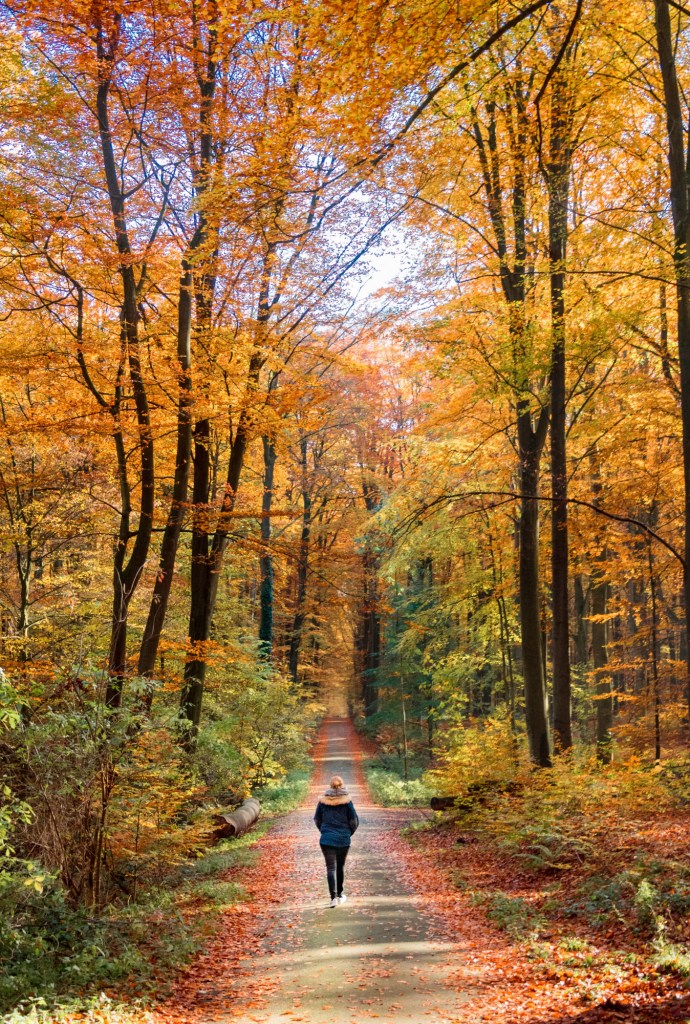 Caminar mientras meditas - Imagen: Unsplash