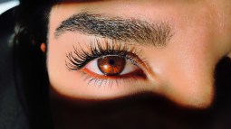 cejas portada