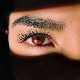 cejas portada