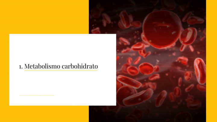 Conoce los tipos de metabolismo y sus características