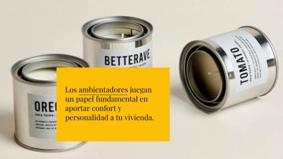 ¿A qué huele tu hogar? 10 ambientadores que huelen muy bien y están de moda