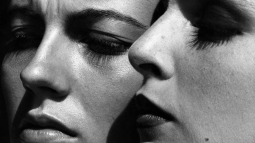 helmut newton