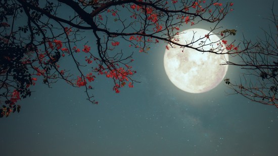 luna llena