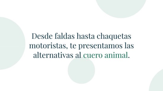 El cuero hecho con cactus y otras alternativas de cuero vegetal