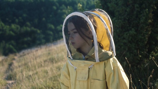 abejas