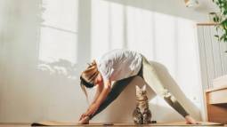 yoga