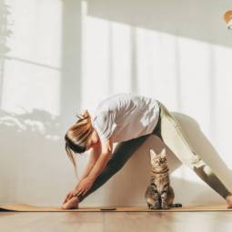 yoga