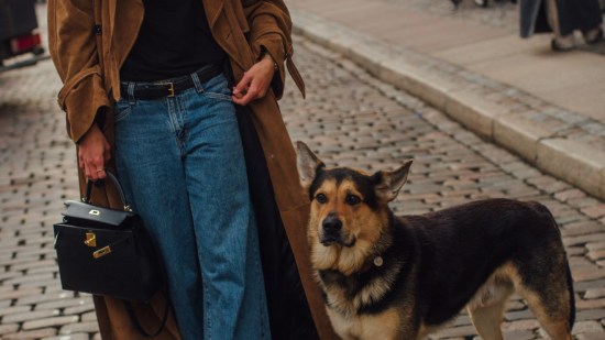 Copenhagen str F24 0078 street style