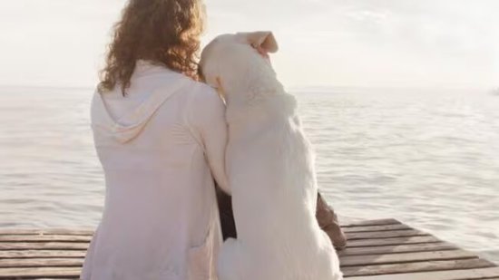El amor incondicional de estos perros te derretirá el corazón