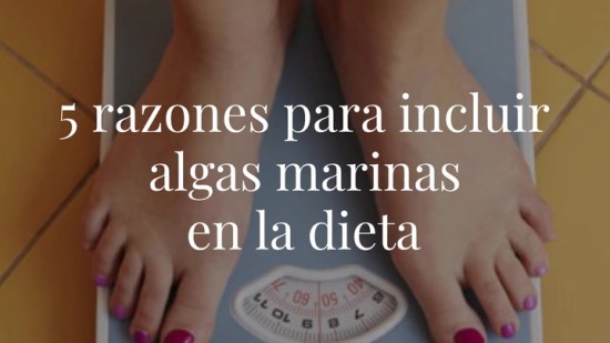 5 razones para incluir algas marinas en la dieta