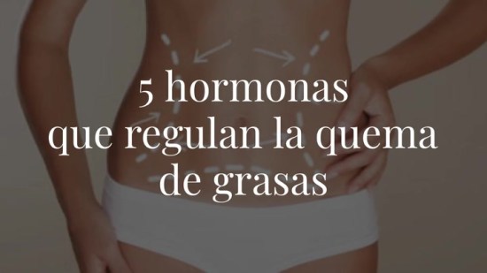 5 hormonas que regulan la quema de grasas