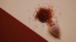 Copa menstrual
