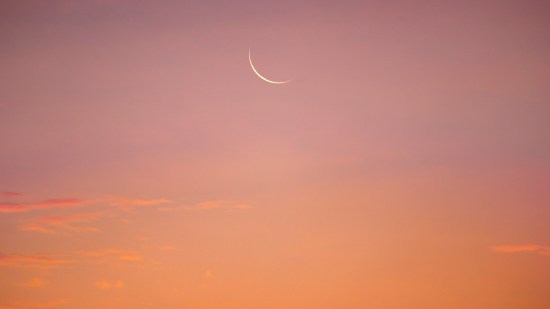 iStock-1471995371