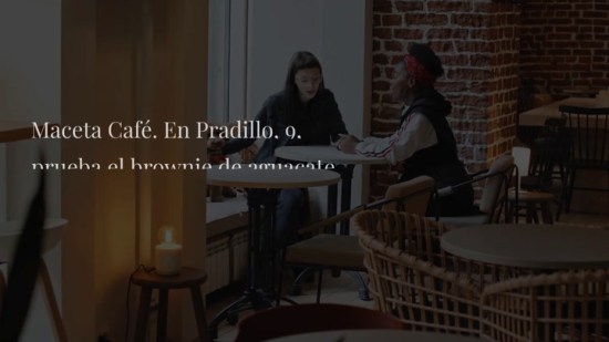 5 cafeterías para ir con tu perro en Madrid