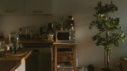 howard-bouchevereau-0b19HoqaZCw-unsplash