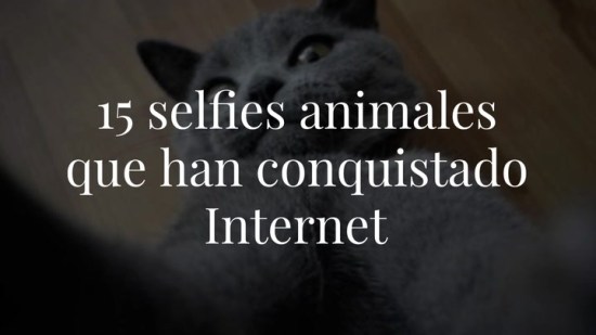 15 selfies animales que han conquistado Internet