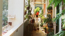 Terraza con plantas