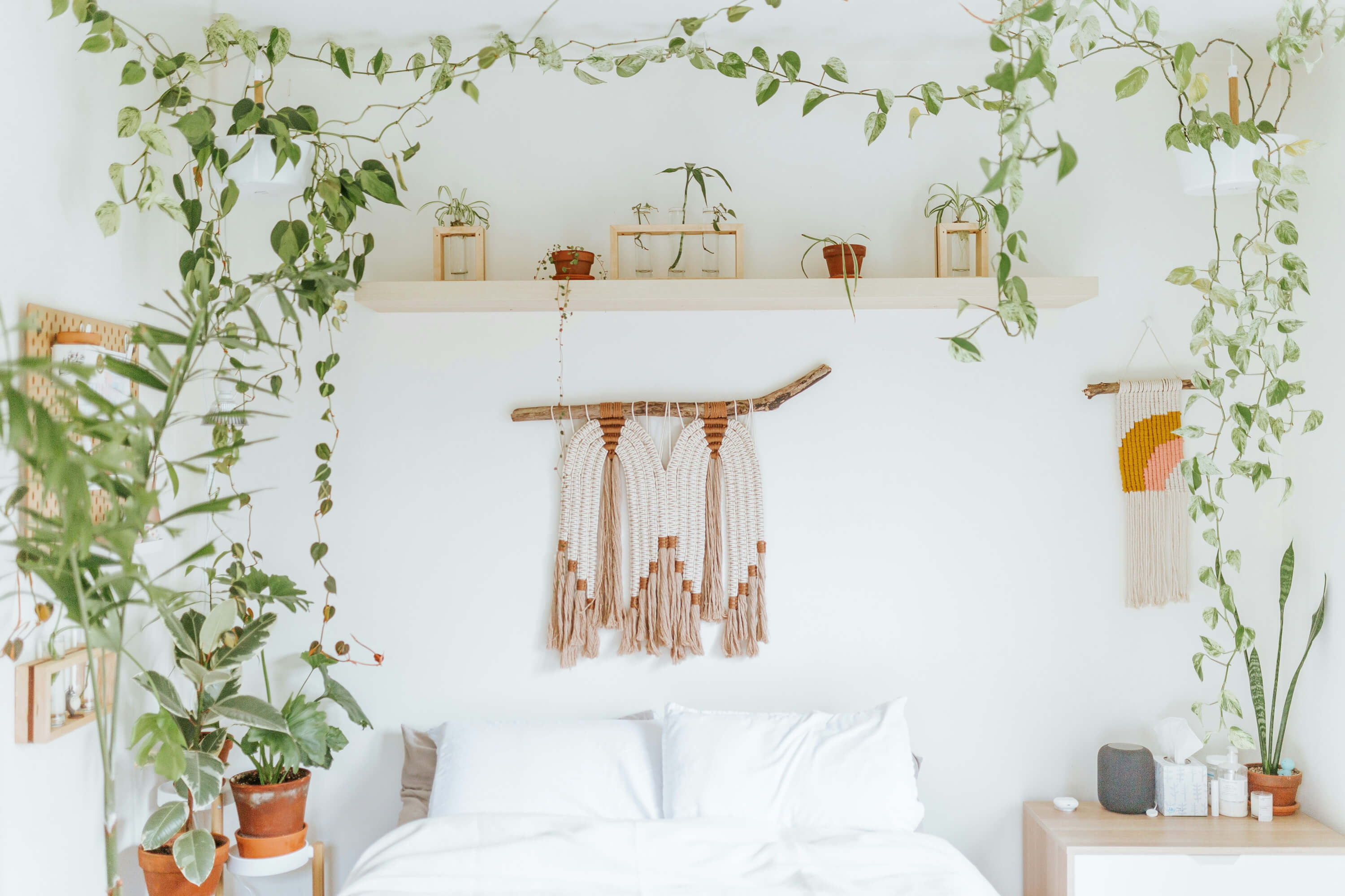 cole-keister-ZN9LhLYCVko-unsplash