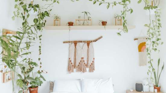 cole-keister-ZN9LhLYCVko-unsplash