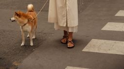 portada sandalias planas street style