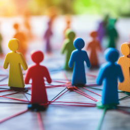 Transferencia social del conocimiento - Blanca Campos